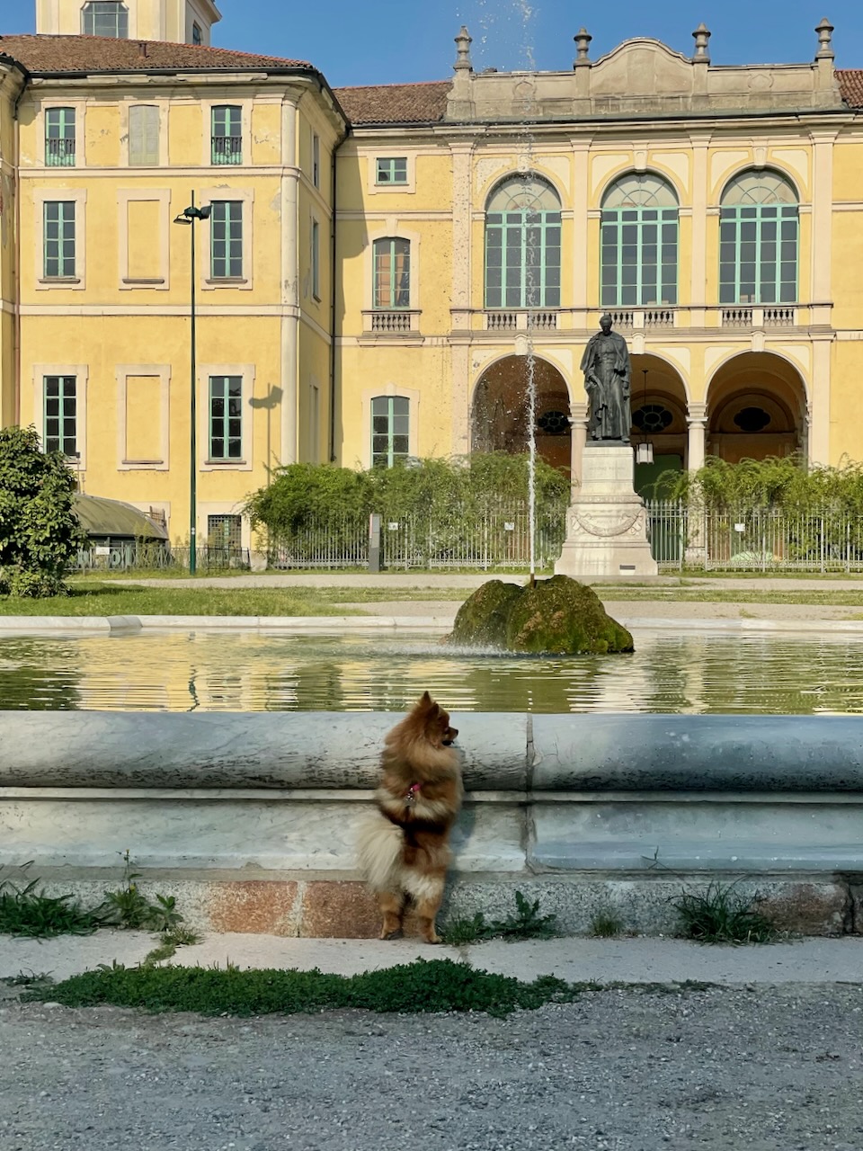 2025-08-15_09-18-42_Dog fountain.jpeg